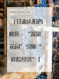 甘肃庆阳西峰区：“流量花园”引爆“庭院经济”